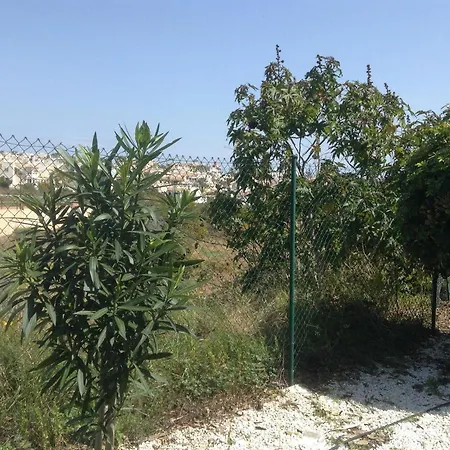 Apartment Calle Jose Maria Sicilia 466 *